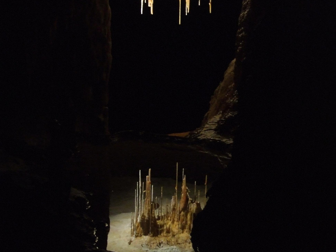 Naracoorte Caves National Park-Naracoorte必去景点