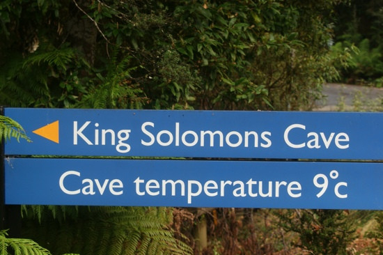 Mole Creek Caves-茉莉溪必去景点