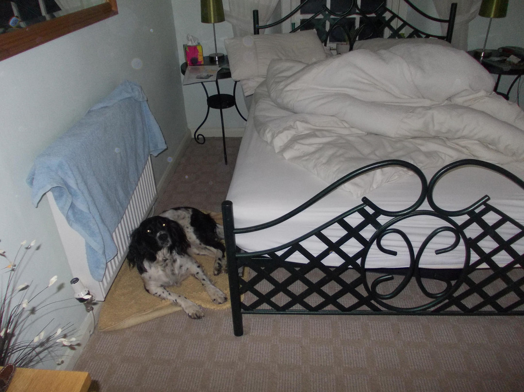 Colwyn Guest House主图