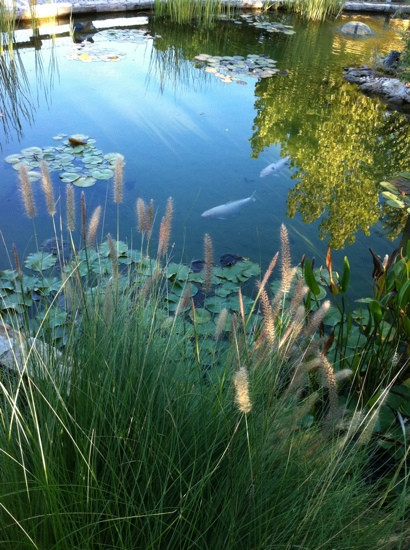 Karting Almancil Fun Park-Almancil必去景点