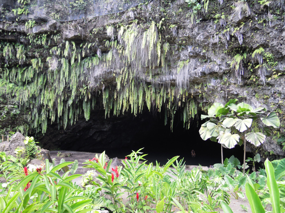 Maraa Grotto-大溪地必去景点