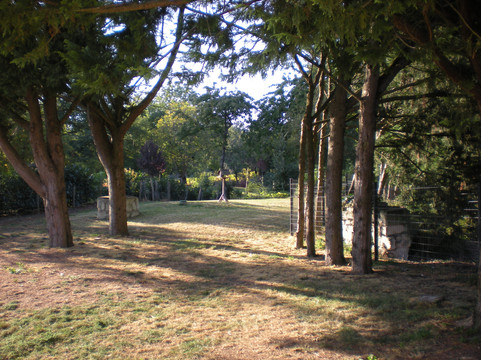 Cizay-la-Madeleine旅游攻略图片