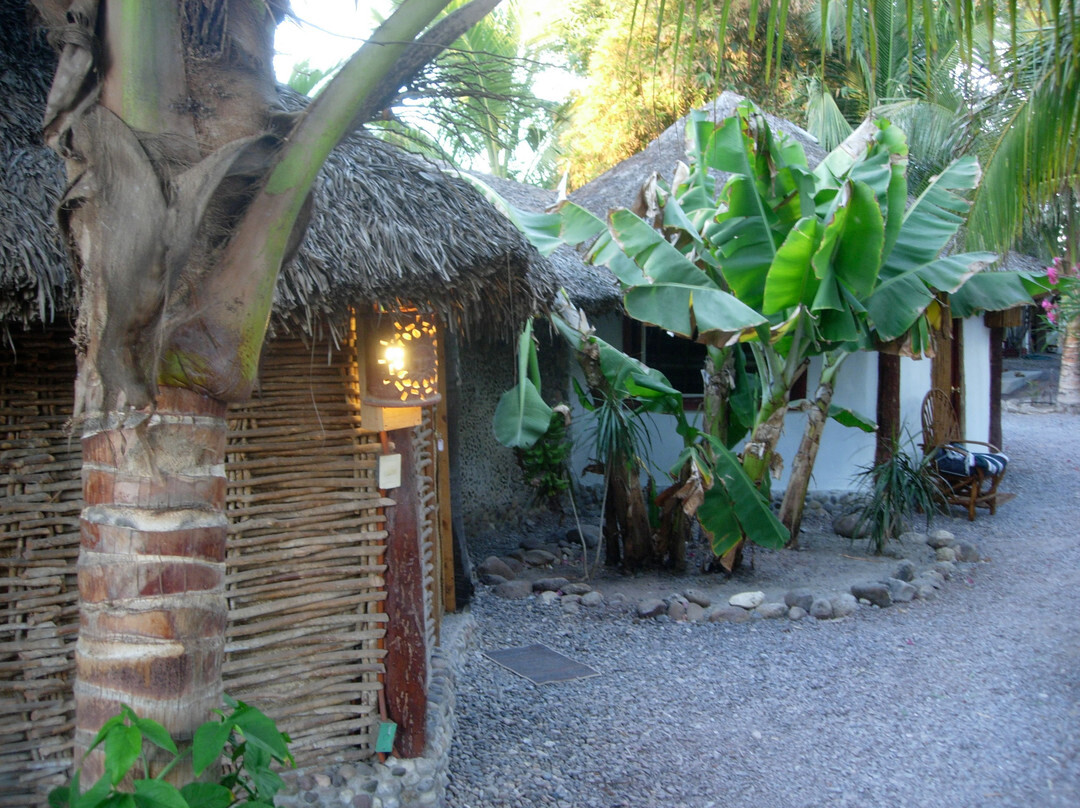 La Rosa de Las Barras主图