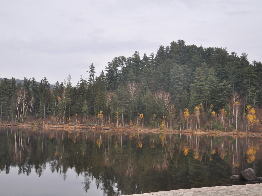 五营森林公园-伊春市必去景点