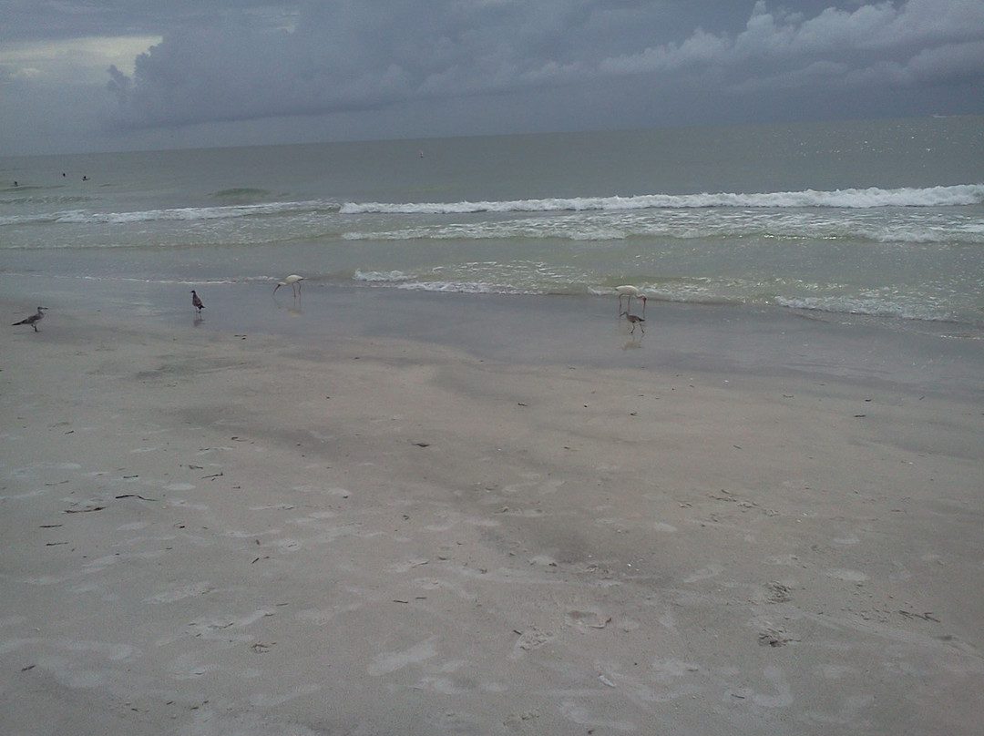 Sand Key Park-克利尔沃特必去景点