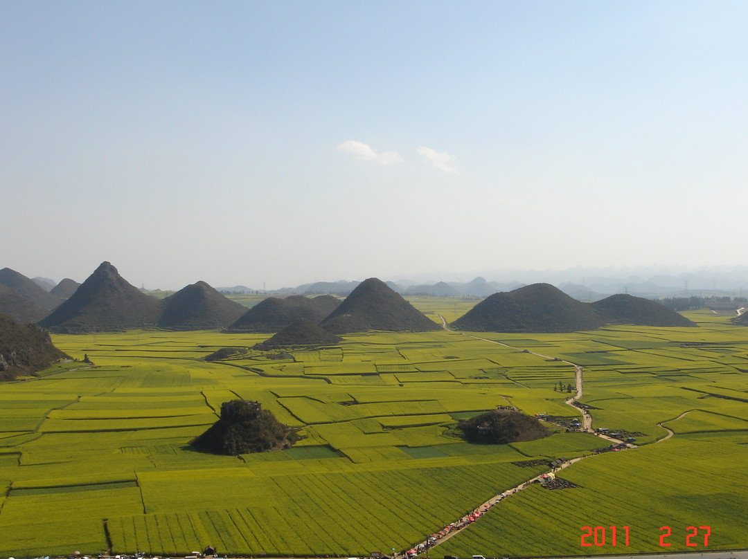 金鸡峰林-罗平县必去景点