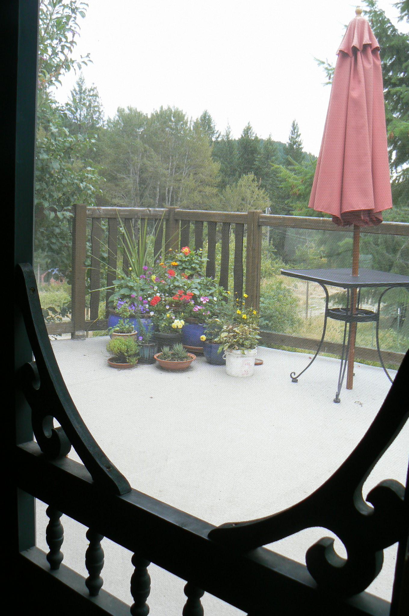 Sky Meadow Bed & Breakfast-酒店景观