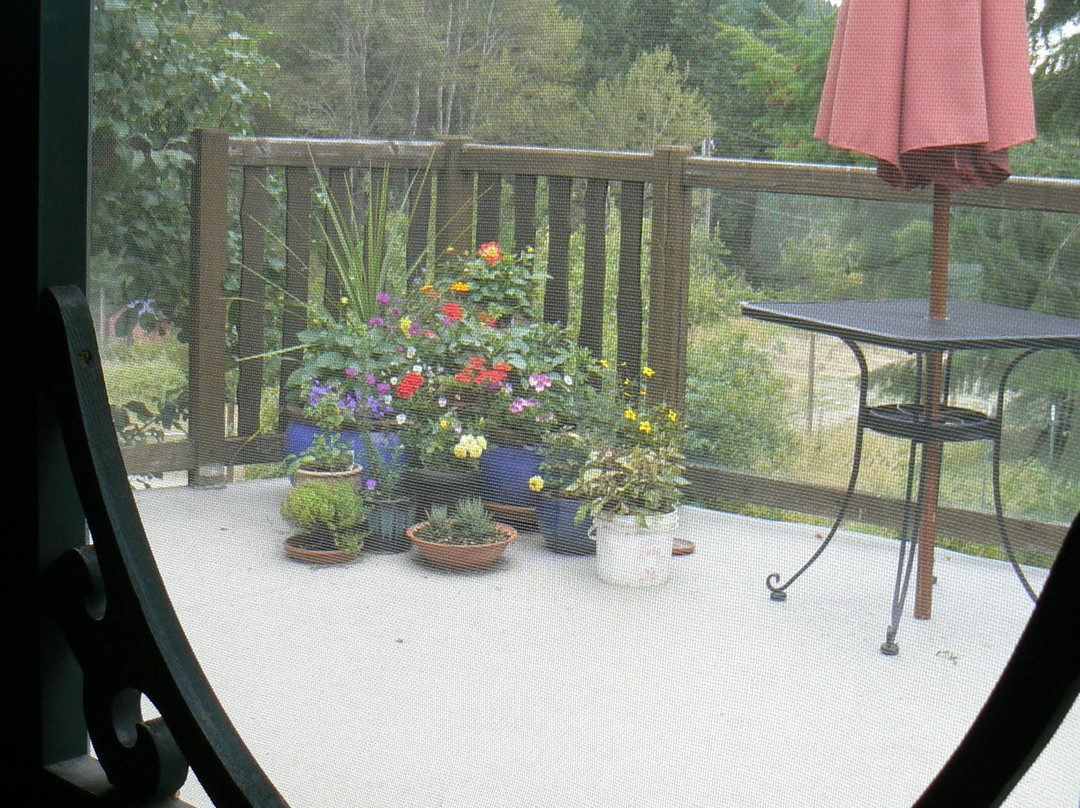 Sky Meadow Bed & Breakfast主图