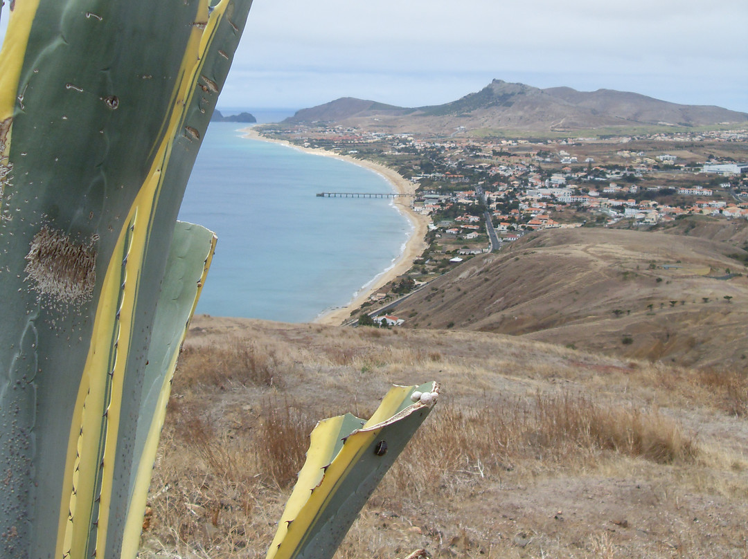 Portela Viewpoint-Porto Santo Island必去景点