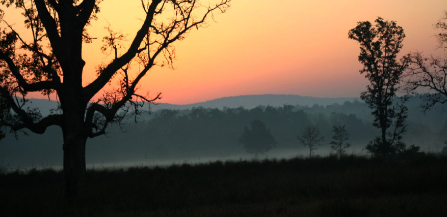 Kanha National Park景点图片