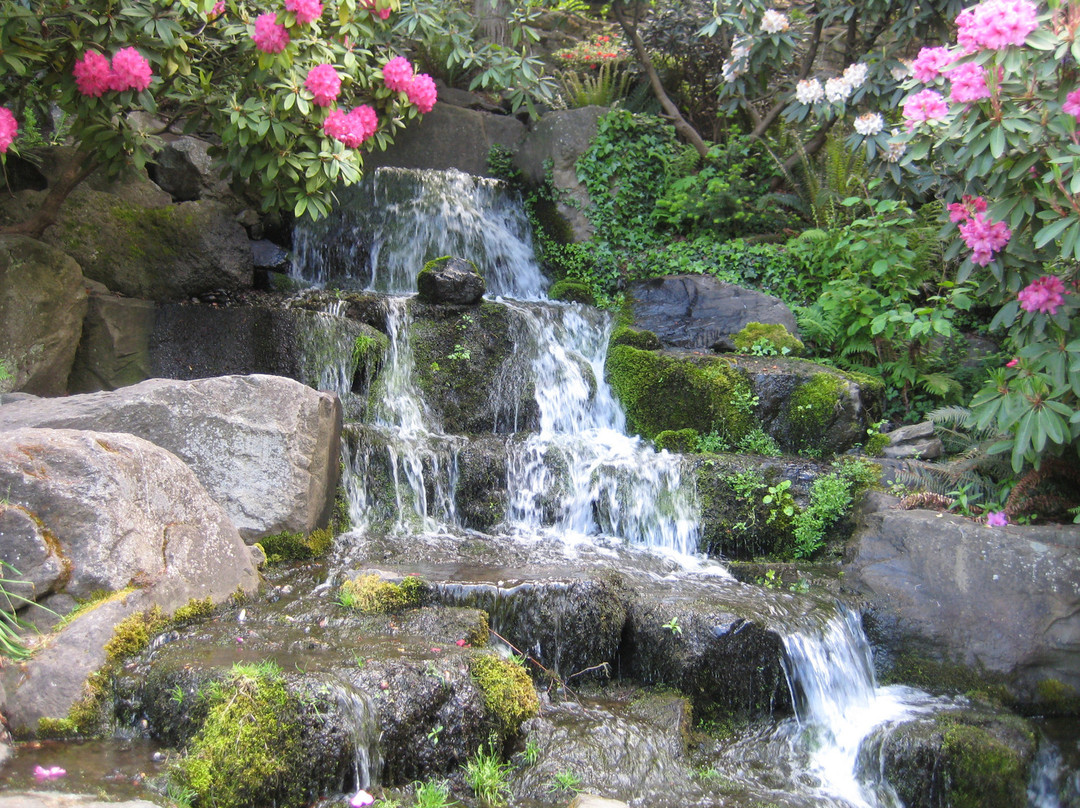 Crystal Springs Rhododendron Garden-波特兰必去景点