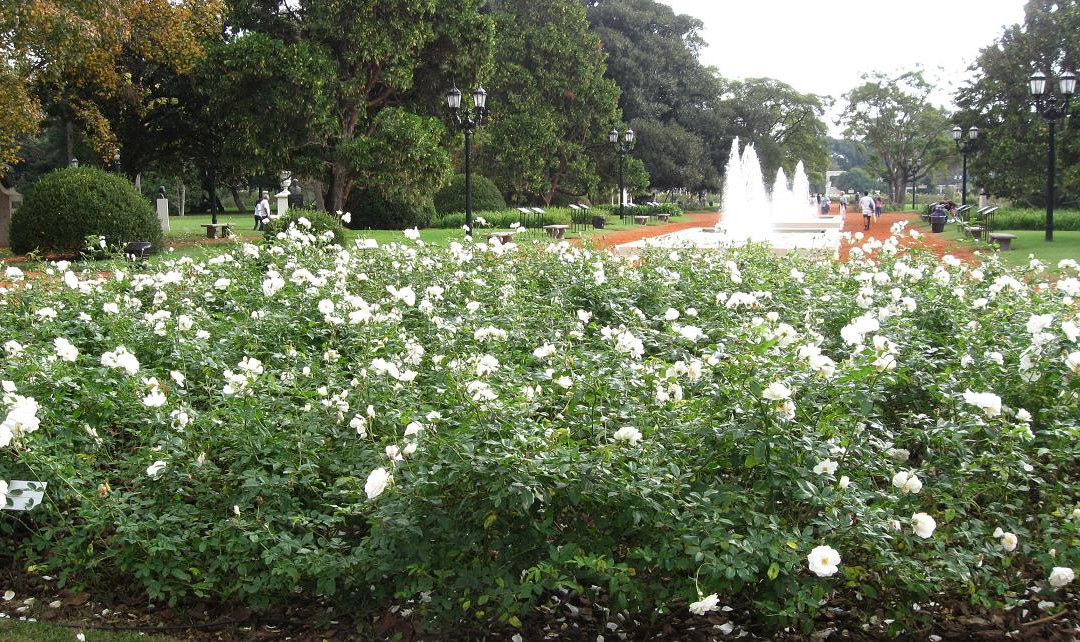 巴勒莫公园-布宜诺斯艾利斯必去景点