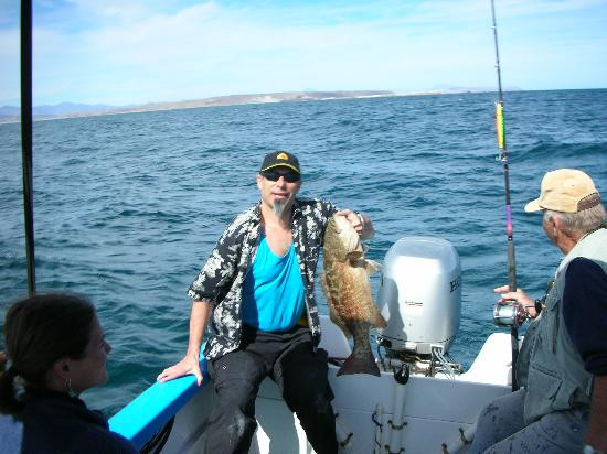 Clementines Mulege主图