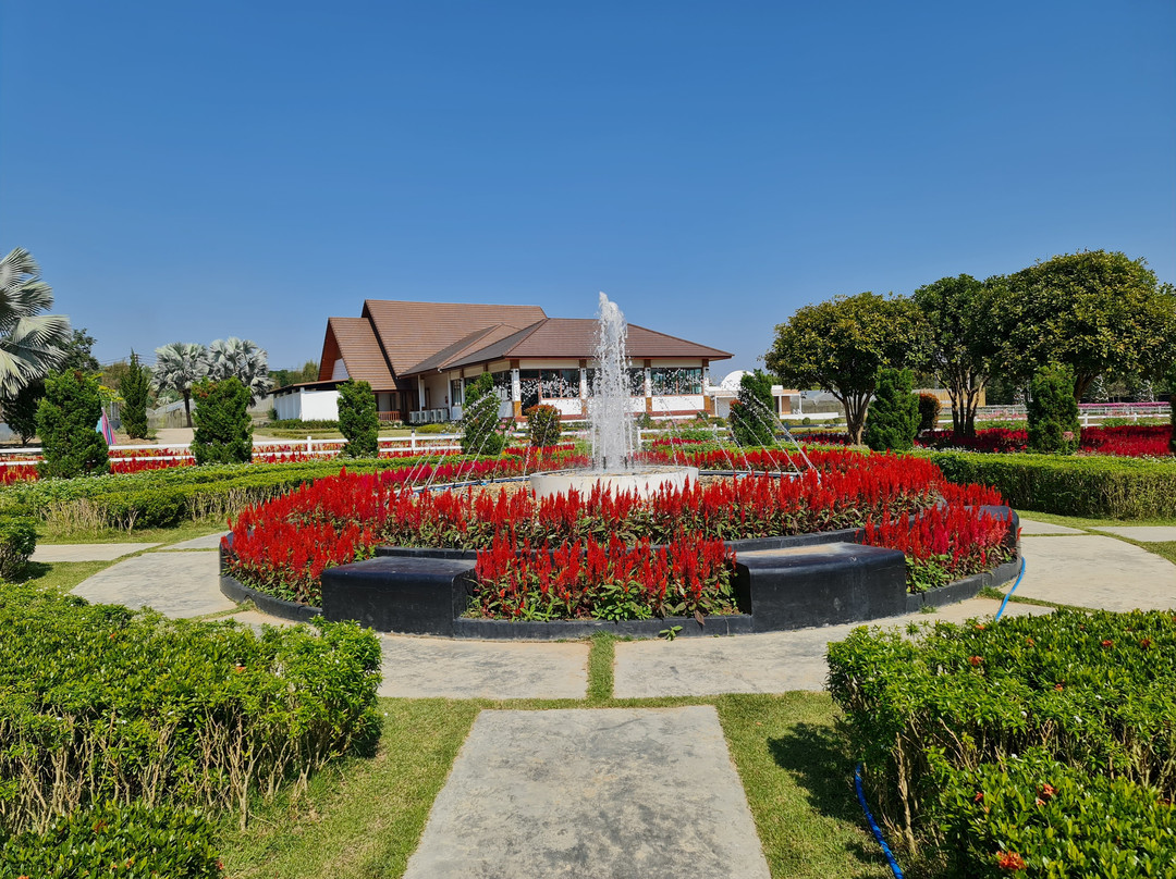 Phu Klong Hill Vineyard