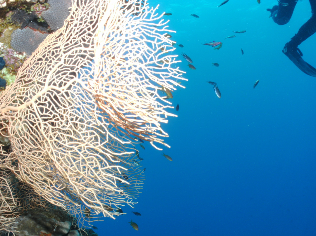 穆罕默德角国家公园-沙姆沙伊赫必去景点