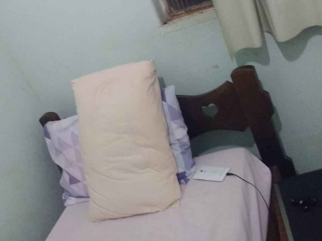 Hotel Pinguim
