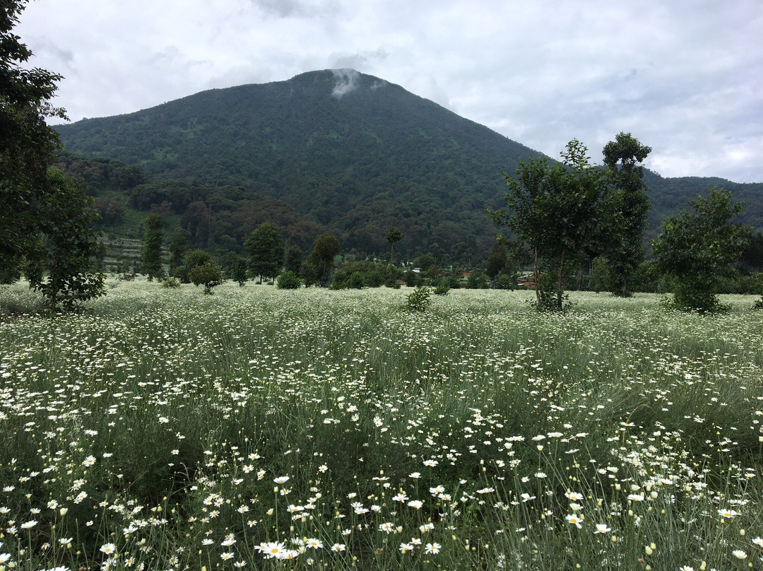 Mount Bisoke景点图片