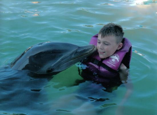 Ocean World Adventure Park, Puerto Plata-普拉塔港必去景点