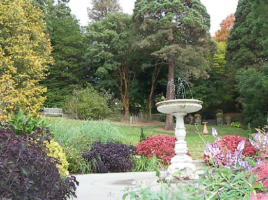 莫里斯植物园景点图片