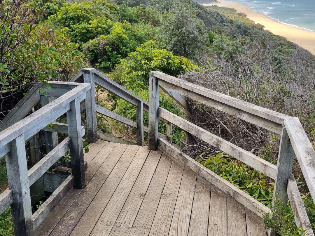 Lake Tyers State Park-Lake Tyers必去景点