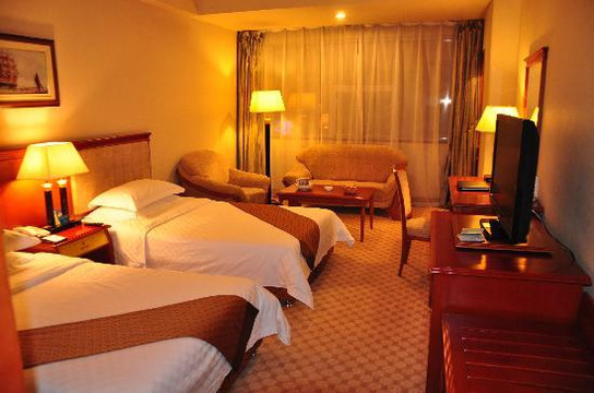 重庆丽苑维景国际大酒店（沙坪坝高铁站店）主图