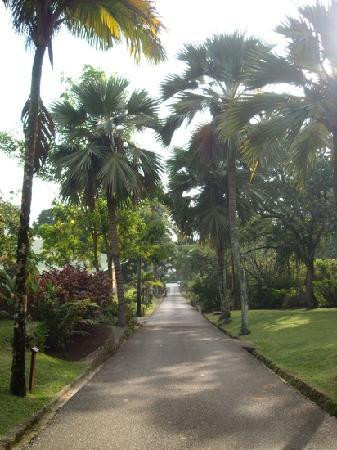 Seychelles National Botanical Gardens景点图片