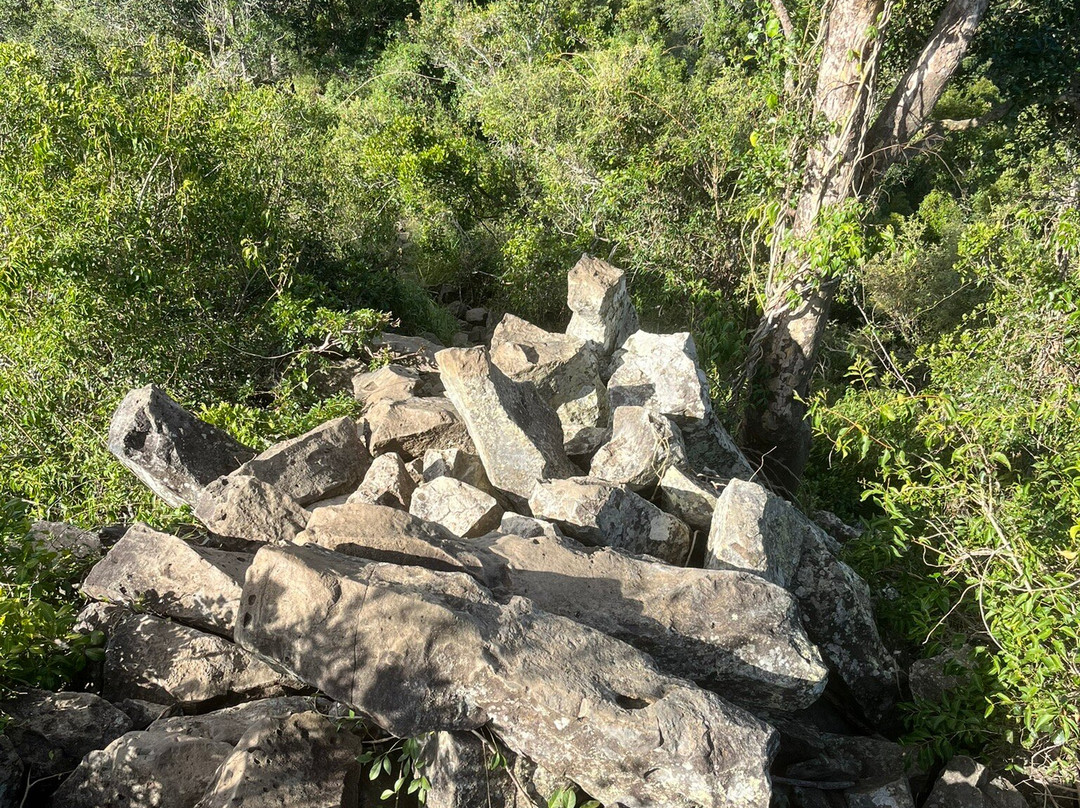 Table Top Mountain-图沃柏必去景点