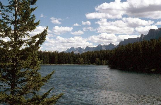 Minnewanka Loop / Lake Johnson-班夫国家公园必去景点
