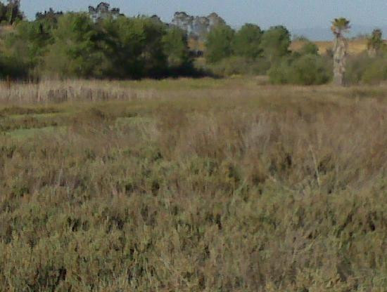 Guajome County Park-欧申赛德必去景点