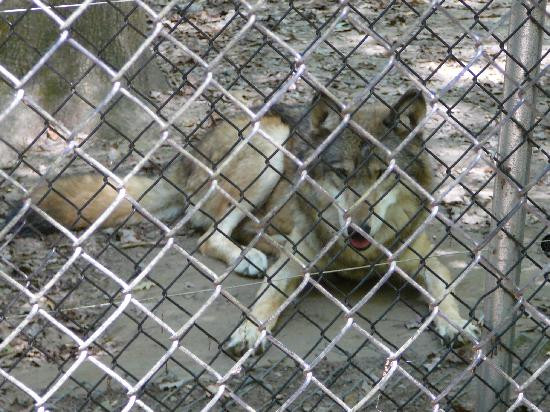 Bays Mountain Park & Planetarium-金斯波特必去景点