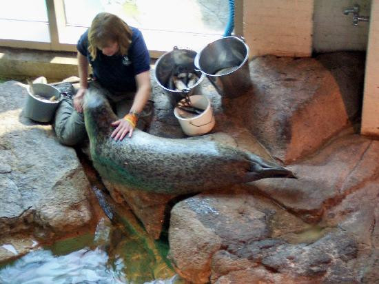 The Maritime Aquarium at Norwalk-诺沃克必去景点