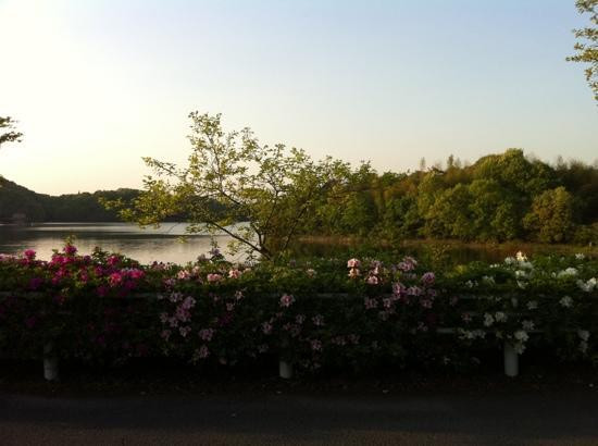 Iruka Pond-犬山市必去景点