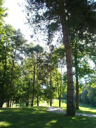Timber Ridge Golf Course景点图片