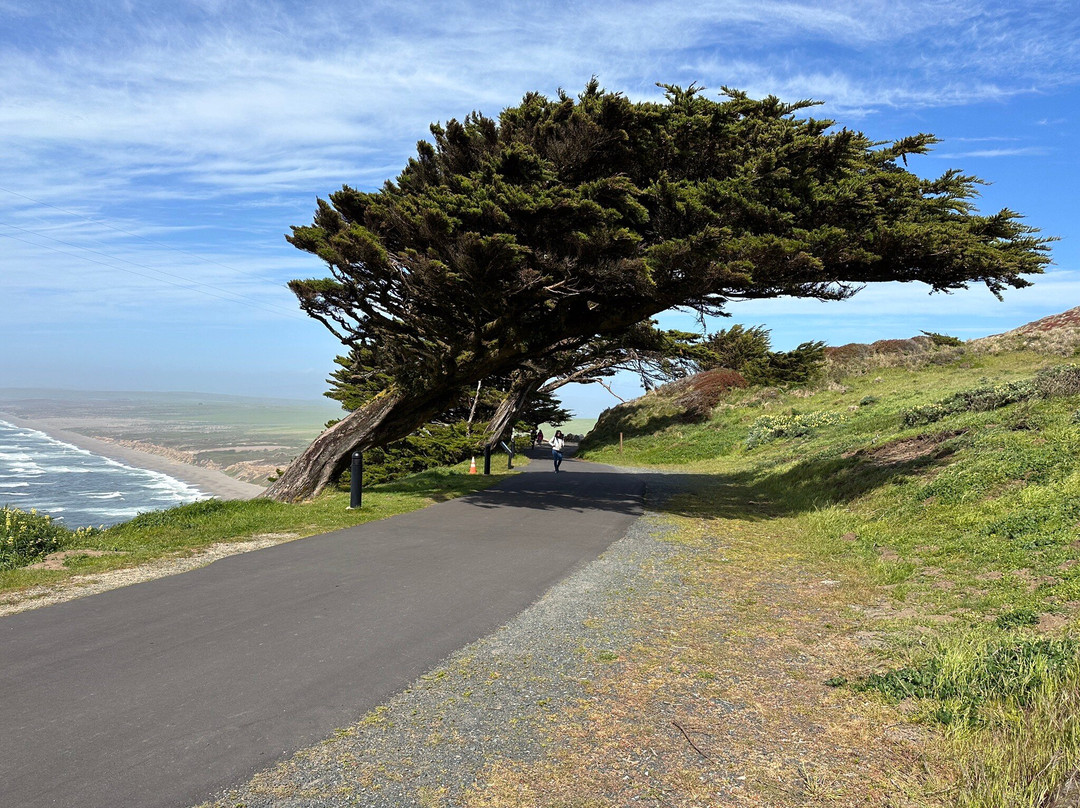 Point Reyes National Seashore景点图片