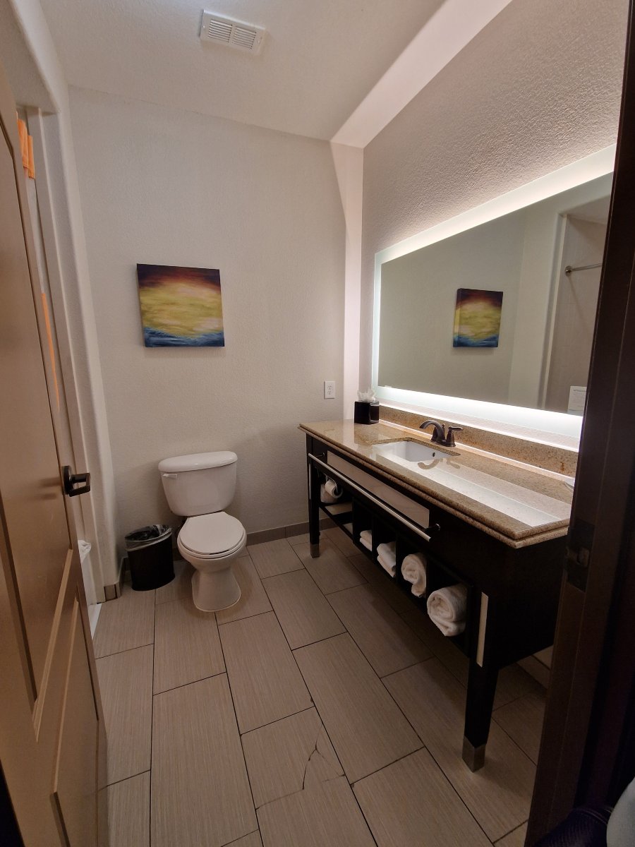 达拉斯大草原城南部拉昆塔温德姆套房酒店-浴室