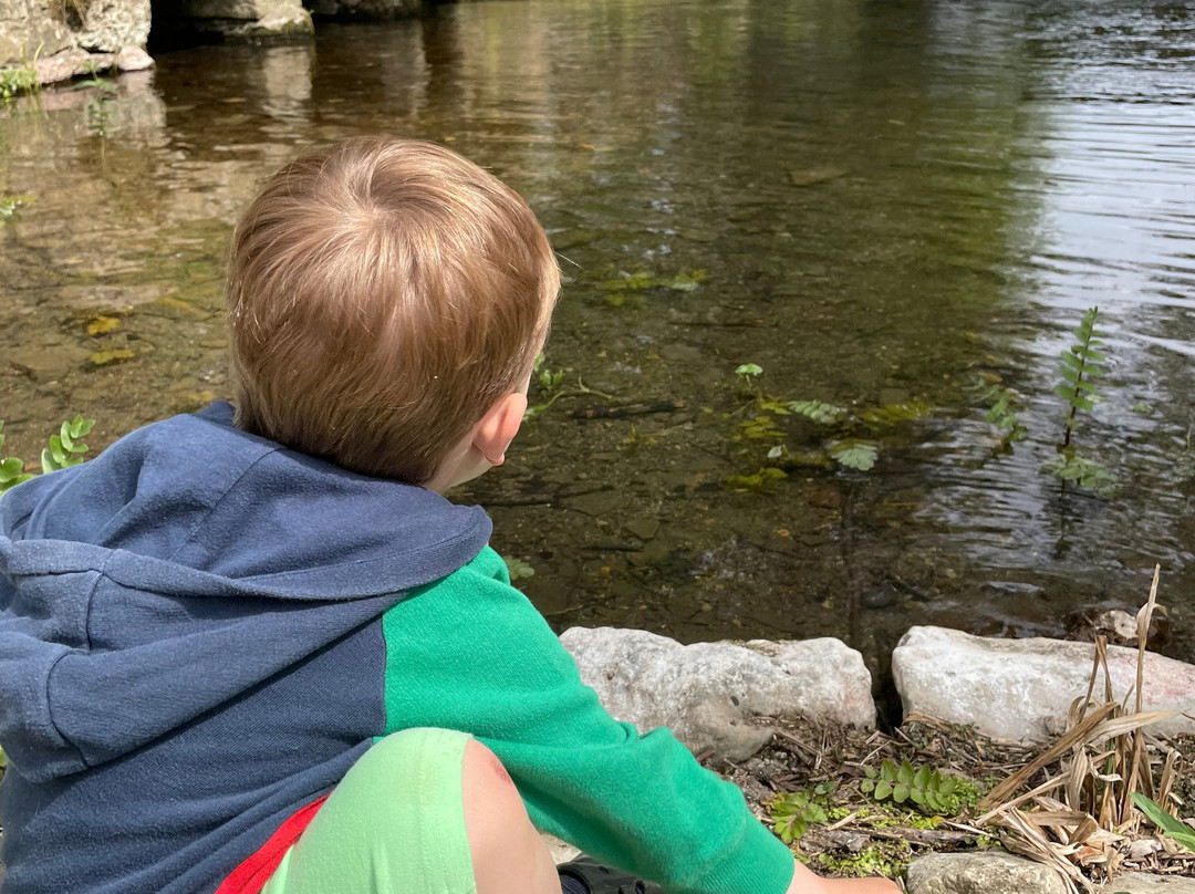 Le Petit Moulin主图