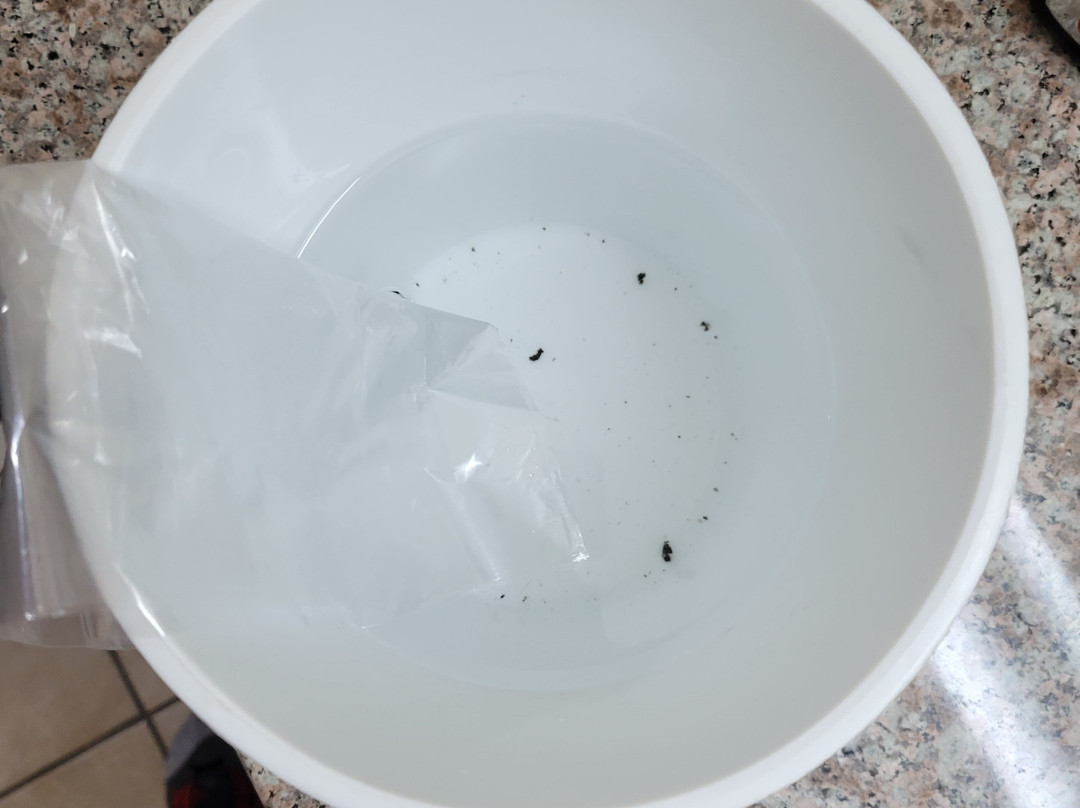 南萨凡纳贝蒙特旅馆套房酒店主图