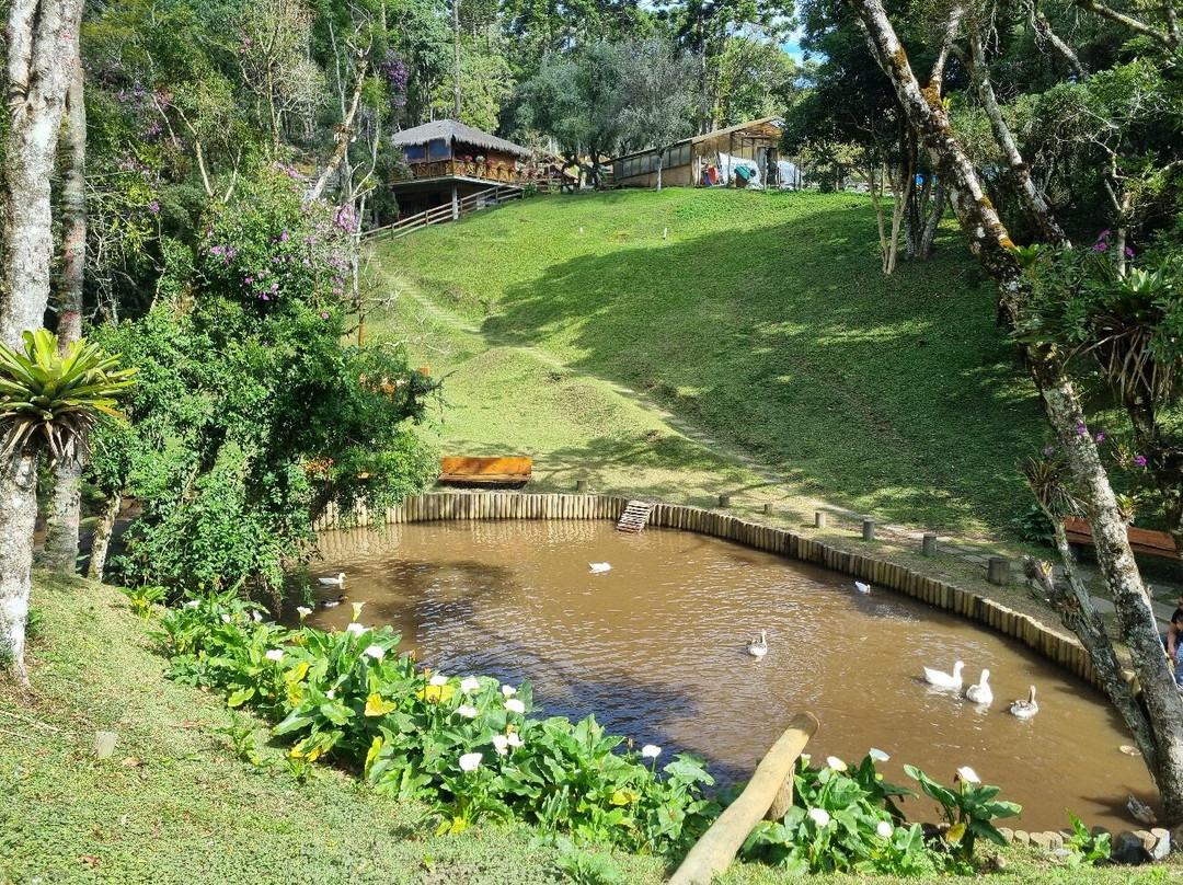 Fazendinha Toriba景点图片