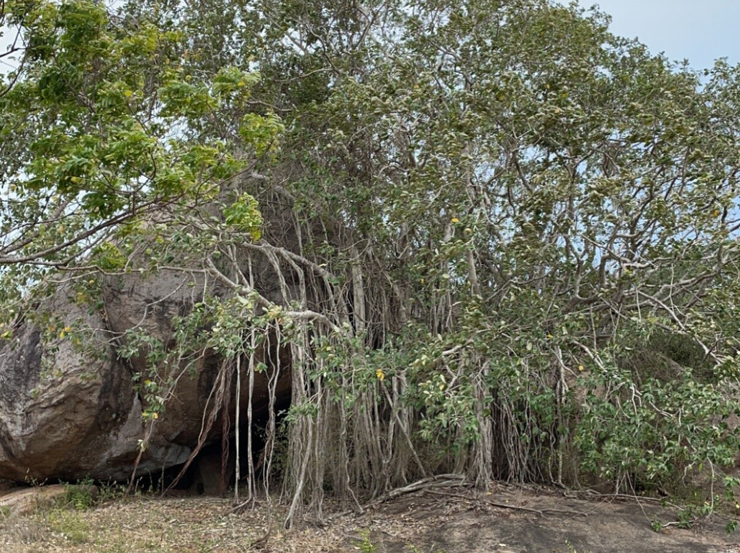 Kirinda Heaven - Yala主图