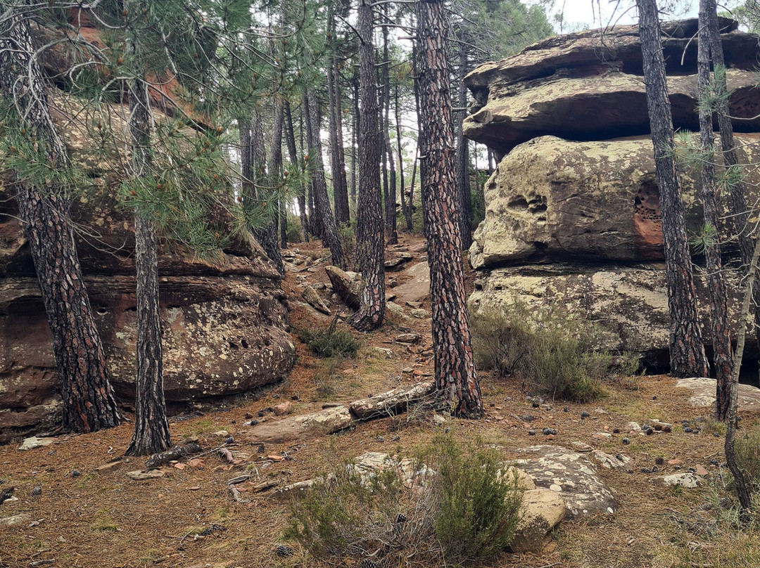 Pinares del Rodeno景点图片