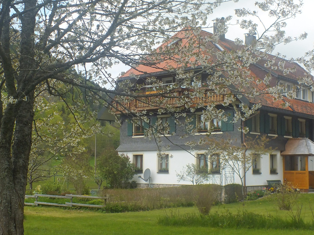 Altstadt Menzenschwand-Menzenschwand必去景点