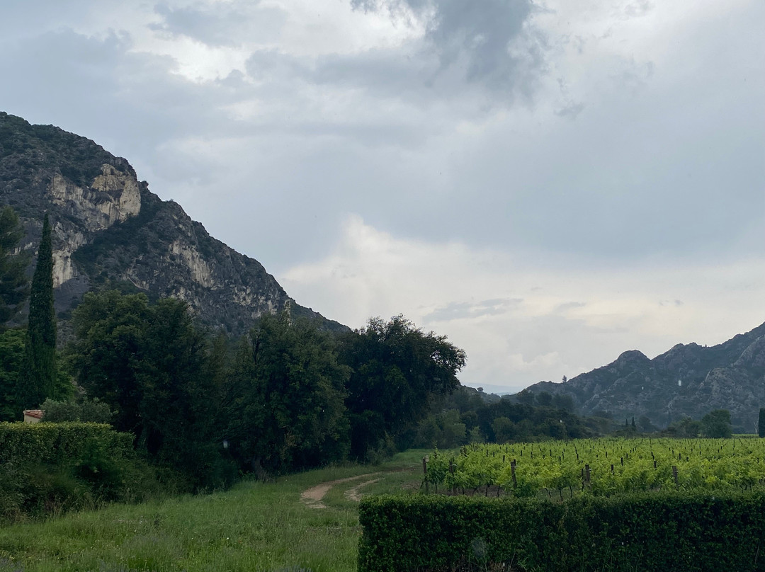 Domaine de La Vallongue景点图片
