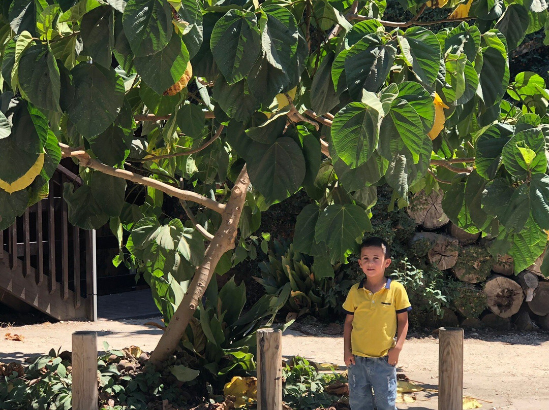 Ramat Gan National Park-拉马干必去景点
