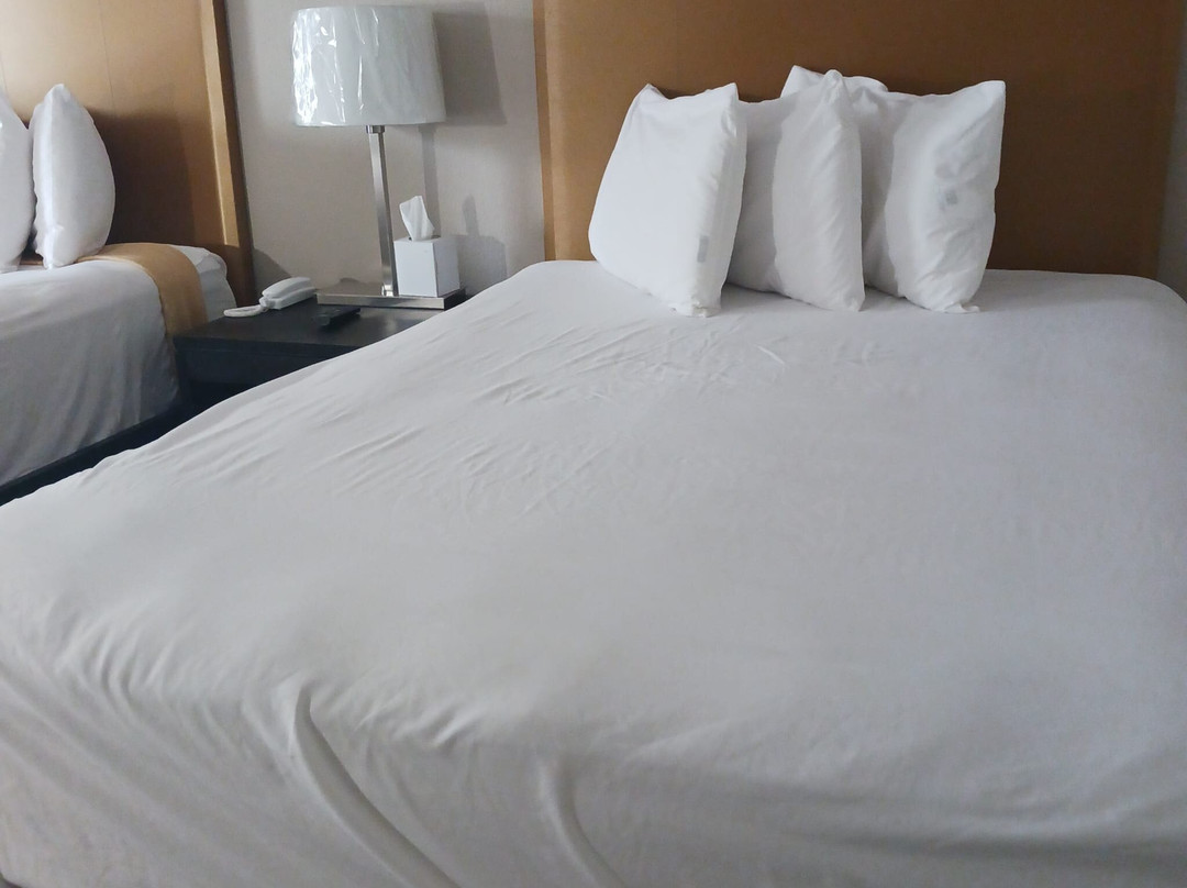 University Inn of Carbondale主图