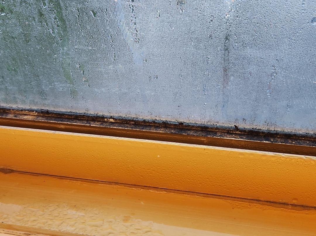 Atlantic Tower Motor Inn主图