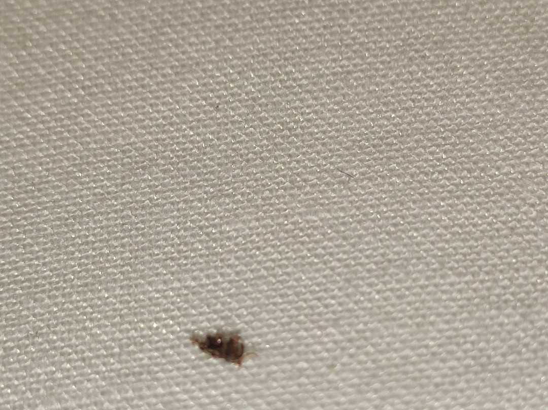 Quinta de Santo Estevao主图