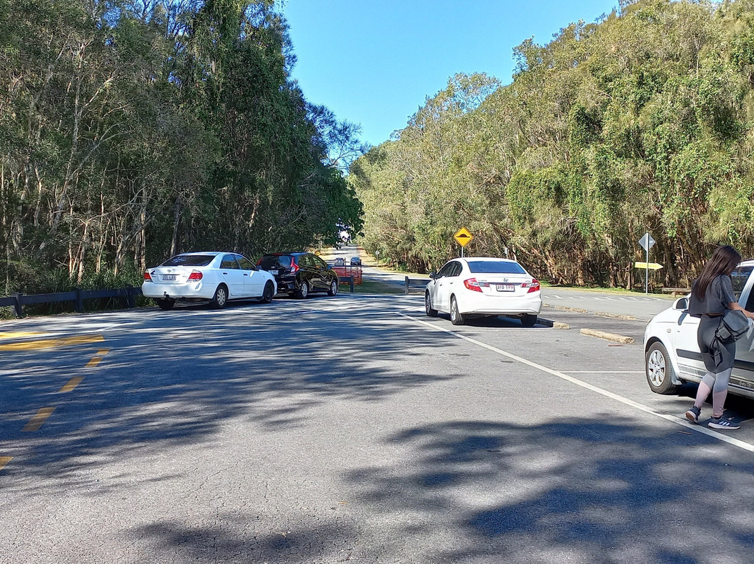 Coombabah Lakes Conservation Area-Coombabah必去景点