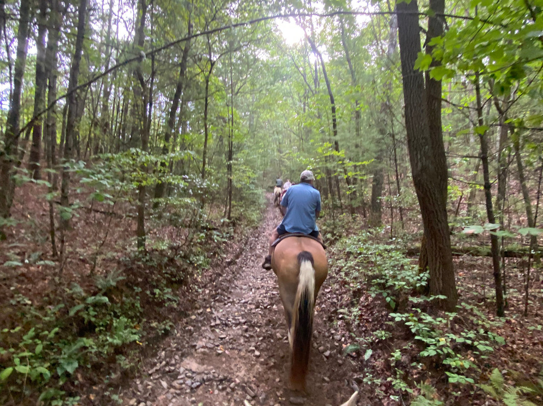 Appalachian Trail Rides景点图片