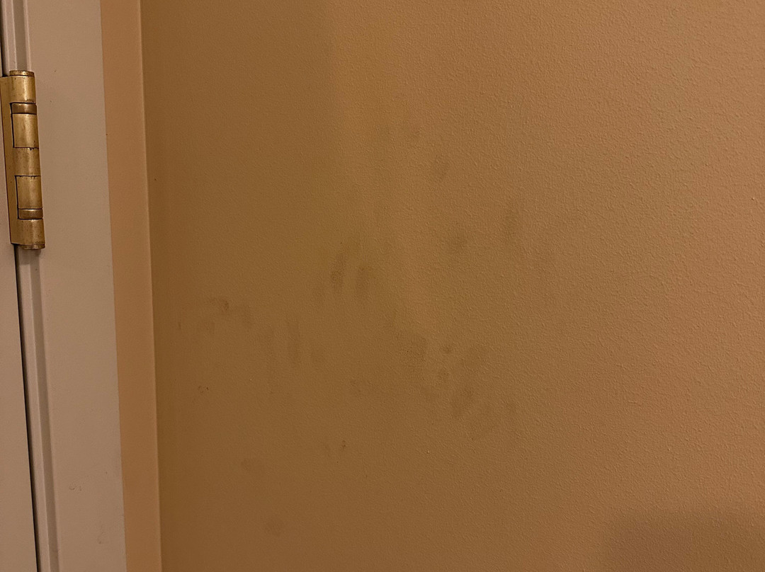 The Davenport Tower, Autograph Collection主图