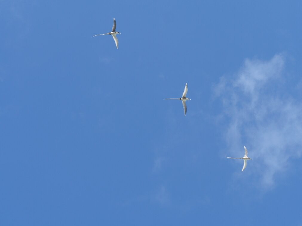 Suwehan Beach-珀尼达岛必去景点